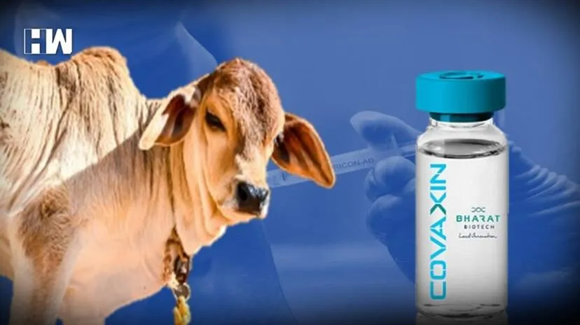 covaxine