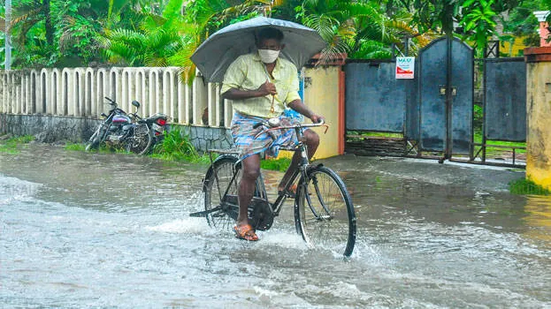 rain