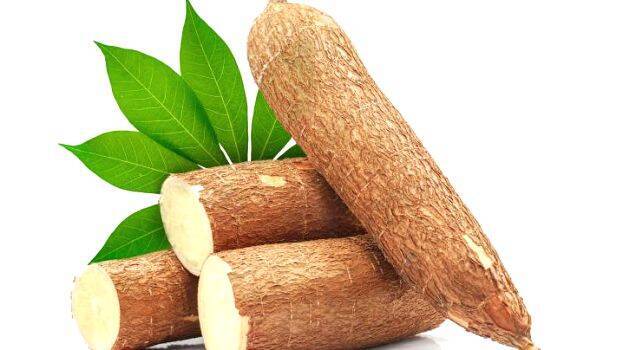 cassava