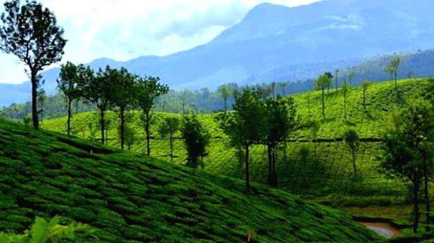 wayanad