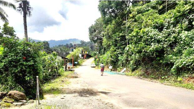 peringasery peringasery