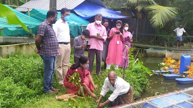 kandal-nadeel kandal-nadeel