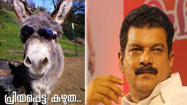 pv-anvar