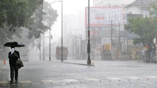 rain