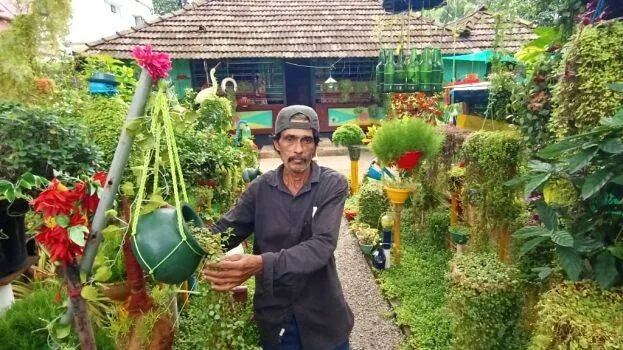 home-garden