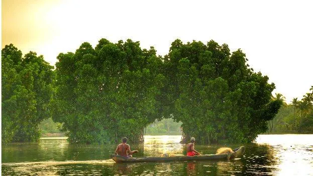 munroe-island