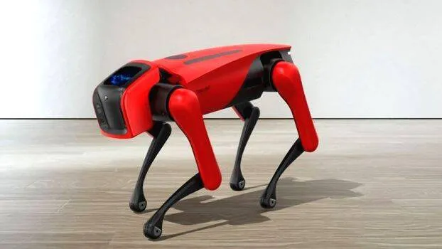 alphadog