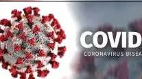 covid