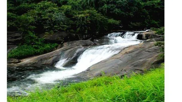 aripara