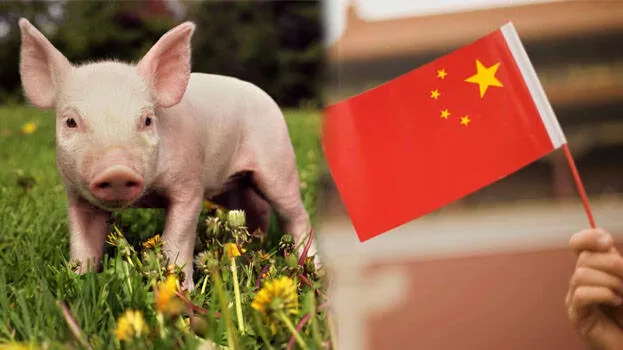 china