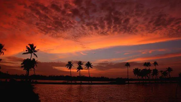 ulaveyppu