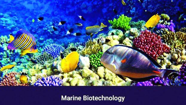 m-tech-marine-biotechnolo