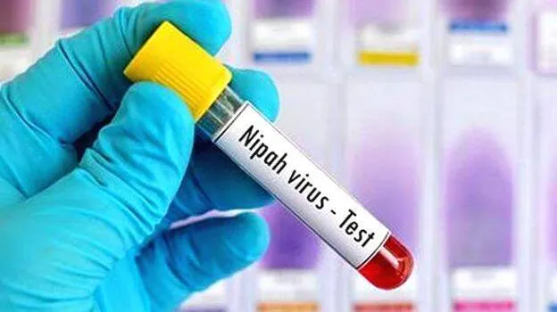 nipah