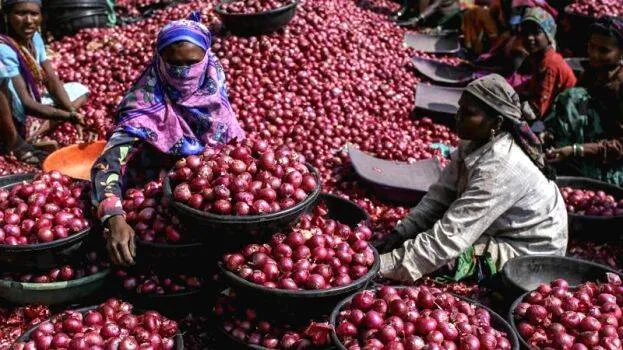 onion