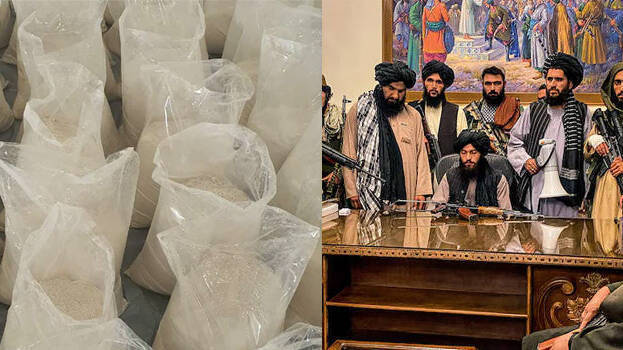 drugs-taliban