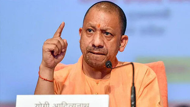 yogi