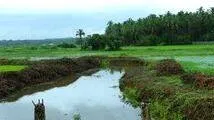 channel