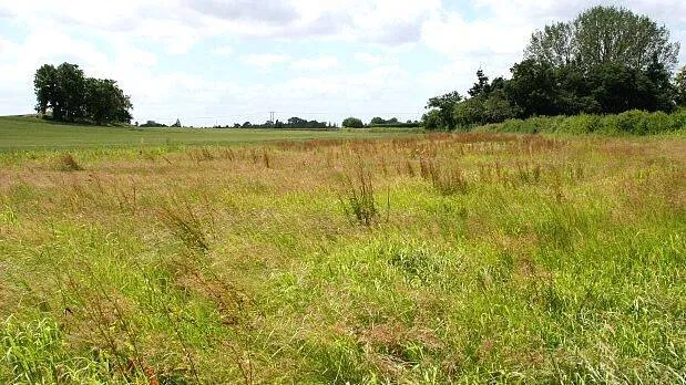 land