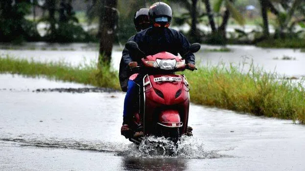 vellam