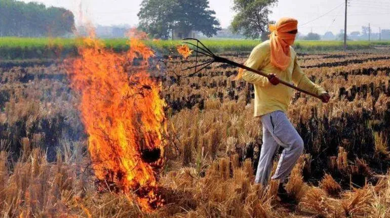 delhi-pollution-