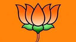 bjp