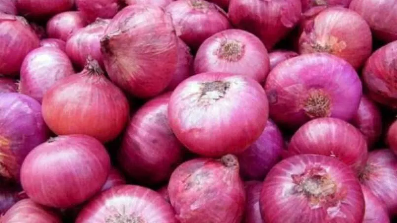 onion