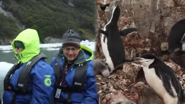 into-the-wild into-the-wild