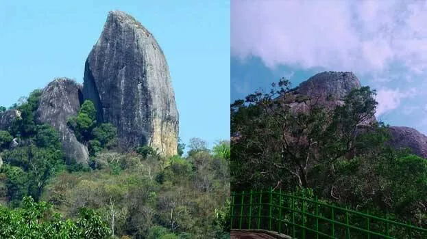 tourism
