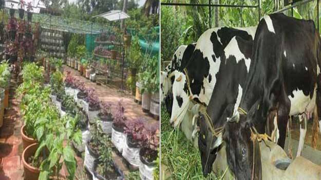 smyojithakrishi smyojithakrishi