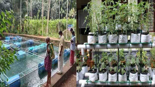 smyojithakrishi smyojithakrishi