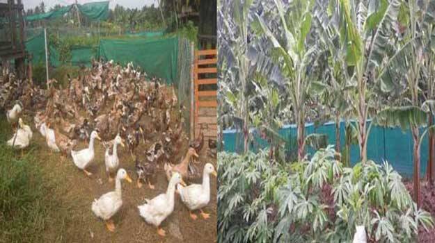 smyojithakrishi smyojithakrishi