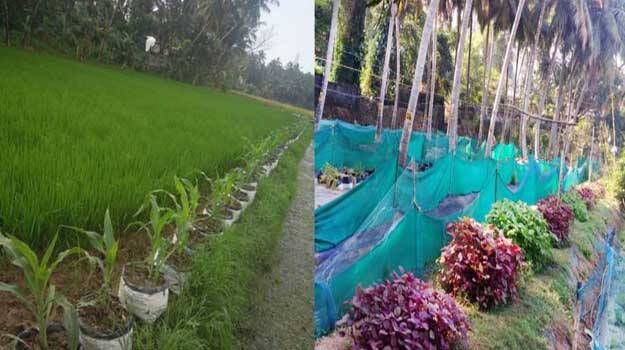 smyojithakrishi smyojithakrishi