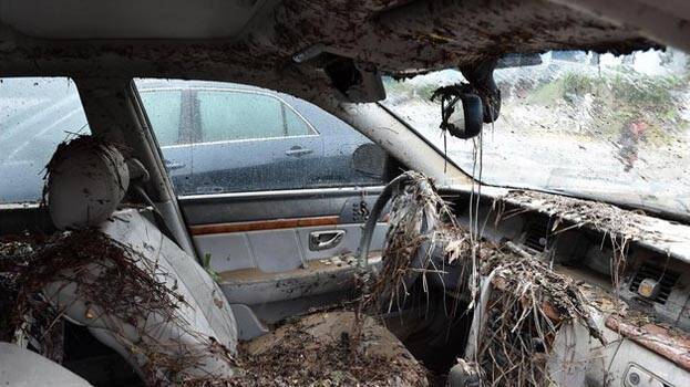 car-flood11 car-flood11