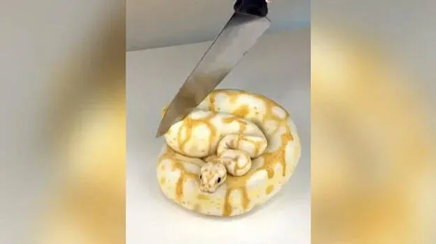 pythoncake