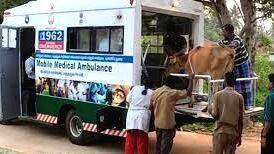 cow-ambulance