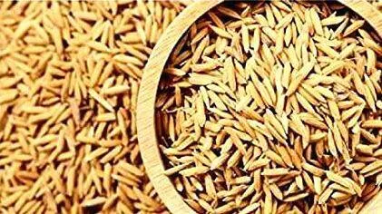 paddy-seed