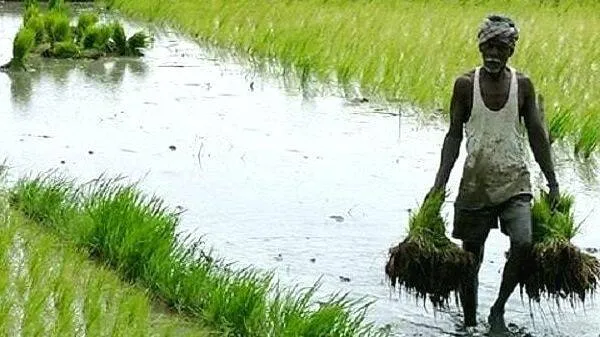 farmers