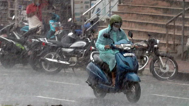 rain