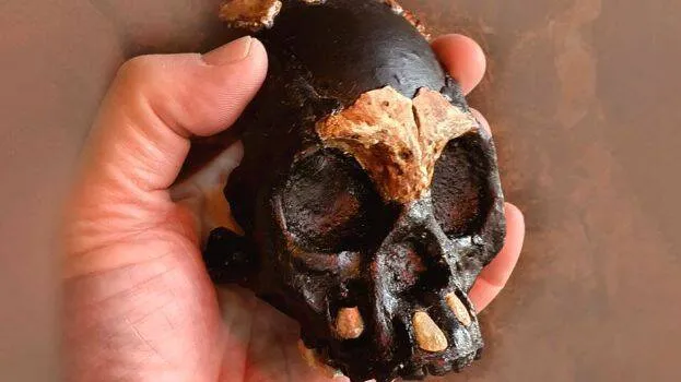 skull