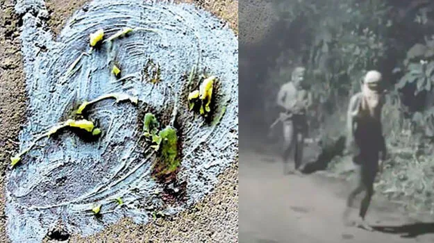 kuruva-gang