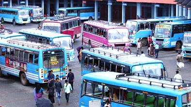 bus