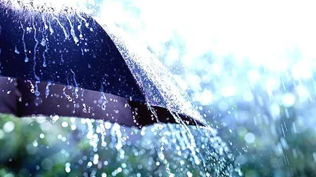 rain