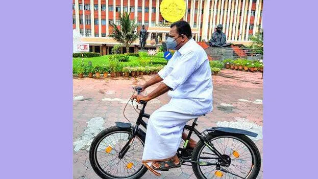 mla-vincent