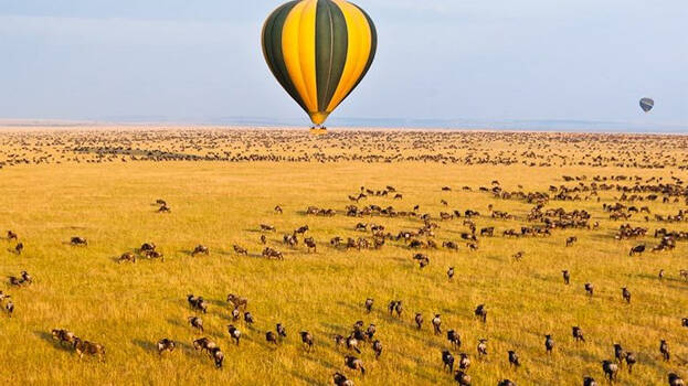 into-the-wild into-the-wild