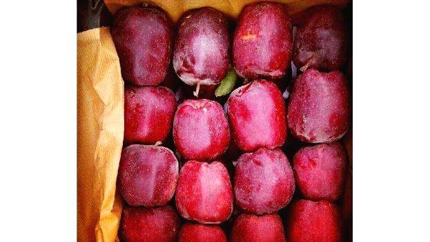 iranian-apple iranian-apple