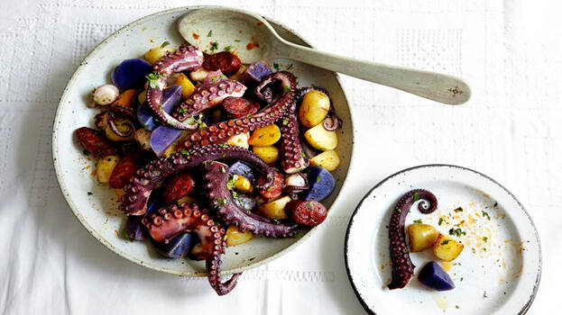 octopus octopus