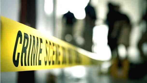 case-diary- case-diary-