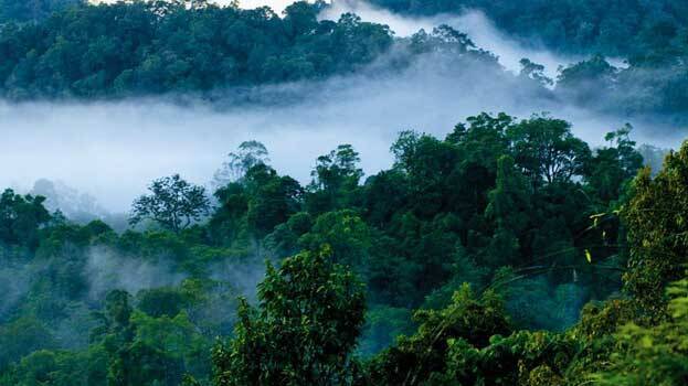 nelliyampathy nelliyampathy