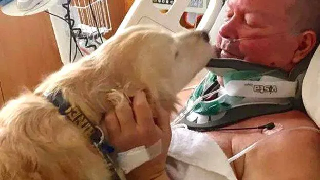 dog-saved-his-owner