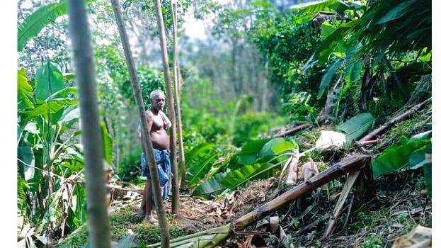 04-vazhathottam 04-vazhathottam